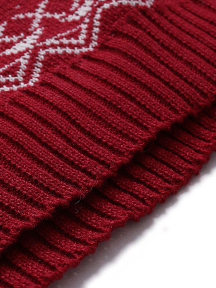 Pull D'hiver Décontracté Pour Animaux Standard Pour Hommes