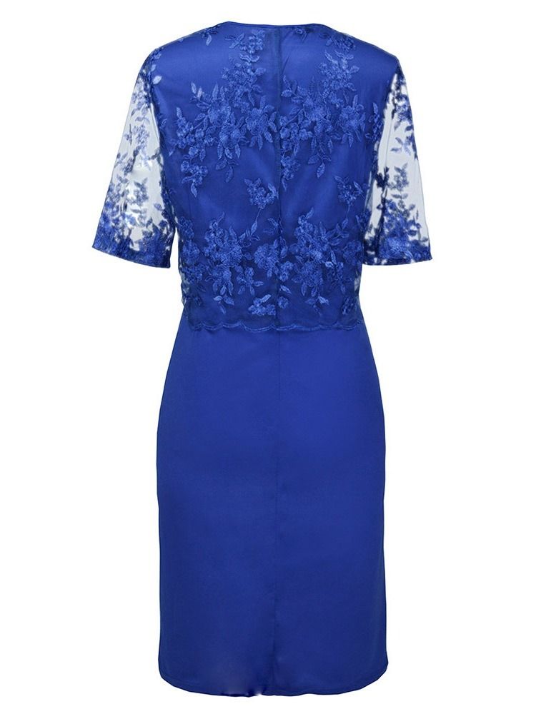 Robe Moulante Régulière Transparente En Dentelle À Demi-manches Pour Femmes