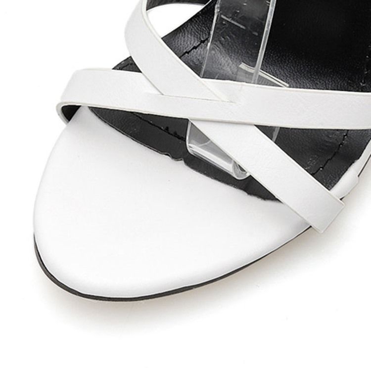 Sandales À Bride À La Cheville Pour Femme Bout Pointu Talon Épais